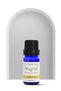 Pelesenk (Copaiba) Essential Oil – 100% Pure and Natural Herbal Essential Oil 10 ml - 2