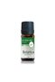 Tea Tree Oil - Melaleuca Alternifolia - (Eyebrow and Eyelash Care) Skin Care Aromatherapy Oil 10 ml - 2