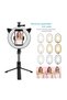 Remote Control Blutooth Wireless Selfie Stick Ring Light Tripod with 9 Different Light Modes