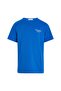 Boy's Blue T-Shirt - IB0IB01319C6X - 2