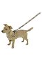 Dog Chest Collar Wild Life - 35 - 60 cm - 2