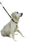 Dog Training Collar - 45 - 60 cm - L - 2