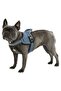 Waist Dog Collar Maestro 2.0 - S 45-60 Cm X 15 Mm
