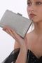 Glamorous Evening Dress with Silver Color Stone, Women's Bag in Hand and Long Strap (Chain Strap)