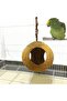 Walnut Bird Toy with 3 Holes - 2
