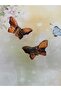 Women's Brown Butterfly Buckle Set of 2 - 3