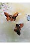 Women's Brown Butterfly Buckle Set of 2 - 2