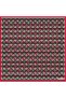 Red Twill Scarf Black Series 90x90 cm and Scarf Hanger - 2