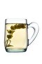 Aware 55521 Collection Recycle Glass with Handle 2 Pack - 2