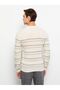 Lcw Casual Crew Neck Long Sleeve Striped Men's Knitwear Sweater (W2) - 5