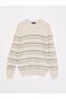 Lcw Casual Crew Neck Long Sleeve Striped Men's Knitwear Sweater (W2) - 6
