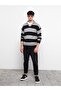 Lcw Casual Polo Collar Long Sleeve Striped Men's Sweater (W2) - 3