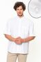 Men's White Cotton Short Sleeve Pocket Collar Button Classic Cut Shirt