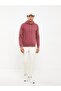 Lcwaikiki Basic Long Sleeve Men's Hoodie (W2) - 3