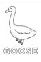 Preschool Coloring Books Set (10 Books) - 4