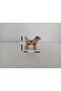 Wooden Toy Animals - Dog - 4