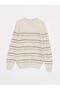 Lcw Casual Crew Neck Long Sleeve Striped Men's Knitwear Sweater (W2) - 7