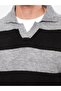 Lcw Casual Polo Collar Long Sleeve Striped Men's Sweater (W2) - 4