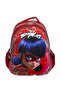 LADYBUG - صندوق غداء للمدرسة الابتدائية باللون اللامع والنقش على شكل خنفساء - 2