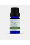Clove Essential Oil – Sweet Marjoram 100% Pure and Natural Herbal Essential Oil 10 ml - 3