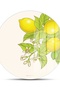 Glass Cutting Board and Presentation Plate Vintage Lemon 30X30 cm - 3