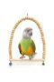 Natural Wooden Perch For Lovebirds And Large Cage Birds