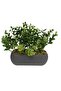 Eucalyptus in a Horizontal Tall Coral Anthracite Flower Pot Artificial Flower for Desktop Kitchen