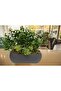 Eucalyptus in a Horizontal Tall Coral Anthracite Flower Pot Artificial Flower for Desktop Kitchen - 3