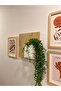 Bohemian Model Flying Wall Shelf Flower Pot Flower Holder Nordic Wall Flower Pot - 2