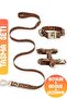 Anti-Escape Collar Leo 3-Piece Collar Set Chest Collar - Neck Collar and Travel Collar