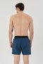 Men's Printed Sea Shorts -1415033 - 4
