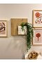 Bohemian Model Flying Wall Shelf Flower Pot Flower Holder Nordic Wall Flower Pot - 3