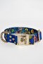 Anti-Escape Leash Galaxy Leash Set Neck Collar and Travel Collar - 2