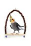 Natural Wood Swing Perch For Cockatiel And Large Cage Birds