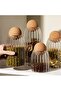 4-Piece Ball Cork Lid Glass Jar and Spice Jar Set