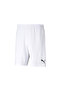 Pume Teamrise Men's Sports Shorts