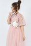 Girl's Tulle Fabric Clipping Embroidered Lined Night Graduation Wedding Evening Dress - 7