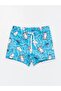 Printed Quick Drying Boys Boxer Swimsuit