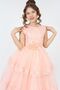 Girl's Tulle Fabric Tarlatan Lined Elegant Evening Graduation Wedding Evening Dress - 7