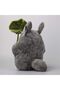 Totoro Plush Toy Hayao Miyazaki Anime Movie Leafy Plush Toy 30cm - 3