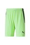 Teamliga Shorts Men's Football Shorts70492420 Green
