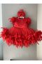 Red Feather Baby Girl Special Occasion Dress - 2