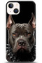 Apple iPhone 13 Mini Case Hd Printed Case - Followed Institution 5104