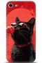 Apple iPhone Se 2022 Case Hd Printed Case - Followed Institution 5111