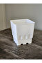 Sandcastle Template - 2