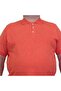 Men's Large Size Polo Collar Matte Printed T-Shirt 24451 Pomegranate Flower - 3