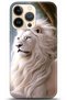 Apple iPhone 13 Pro Case Hd Printed Case - Followed Institution 5114