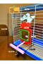 Deer Model Mirrored Bell Bird Perch - 2