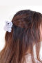 Koala Luxury Bone Peg Buckle - 4