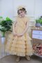 Ruffled Collar, Ruffled Long Skirt, Special Cut Girls' Evening Dress - with Accessories as a Gift